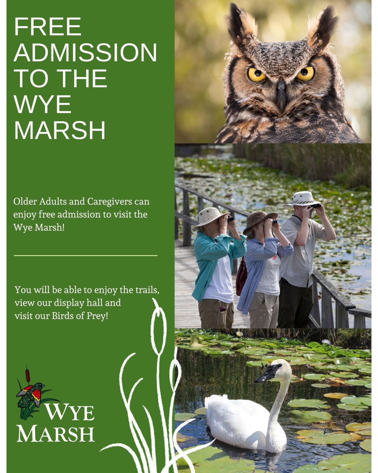 FREE ADMISSION TO THE WYE MARSH (1)